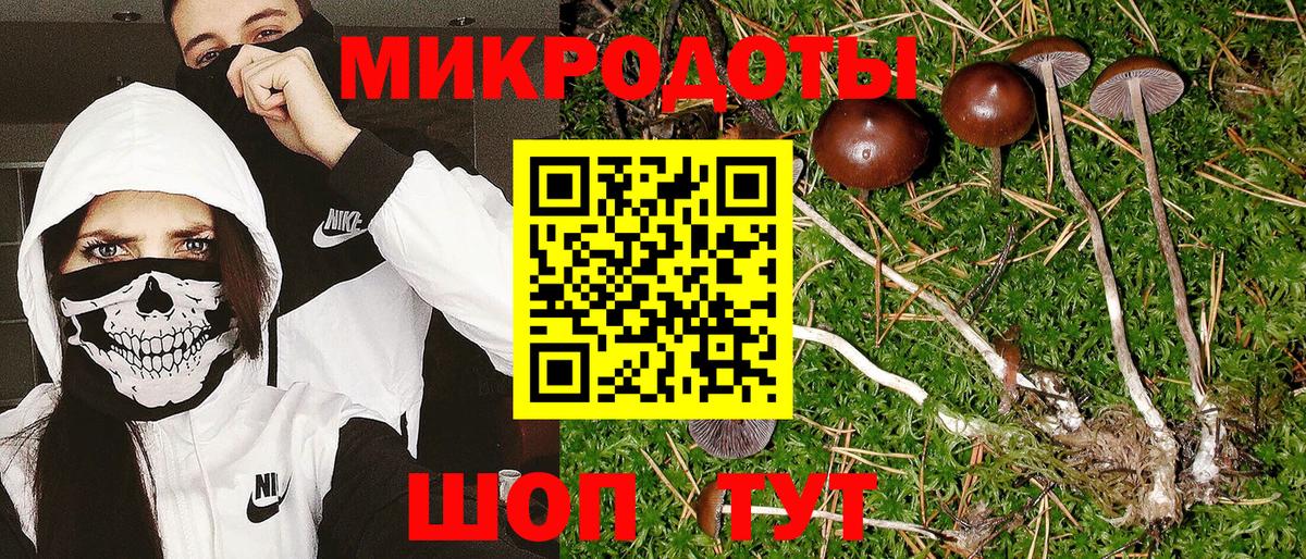 Красноуфимск  Псилоцибиновые грибы Psilocybe  Вход с VPN  Галлюциногенные грибы прущие грибы 
